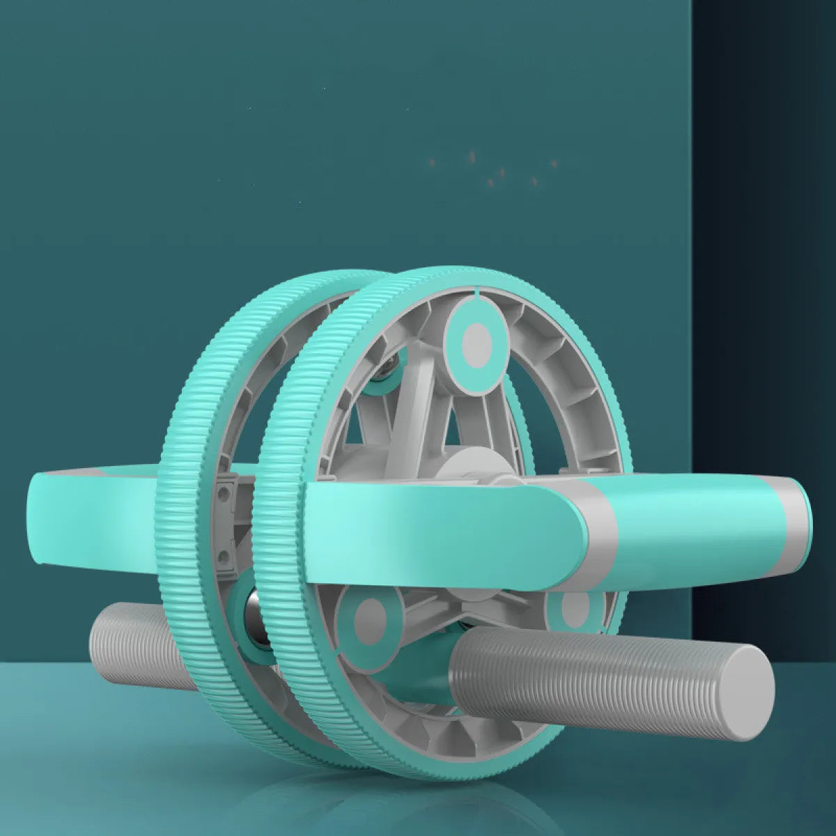 Home Gym Ab Wheel Combo